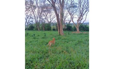 Vendo Espectacular Finca Pintada Bolombolo
