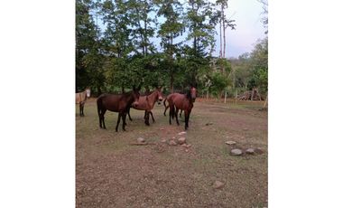 Vendo Espectacular Finca Pintada Bolombolo