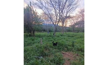 Vendo Espectacular Finca Pintada Bolombolo