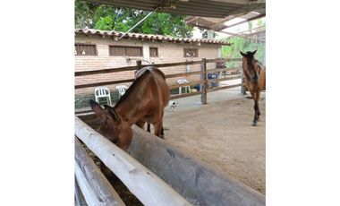Vendo Espectacular Finca Pintada Bolombolo