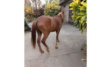 Vendo Espectacular Finca Pintada Bolombolo