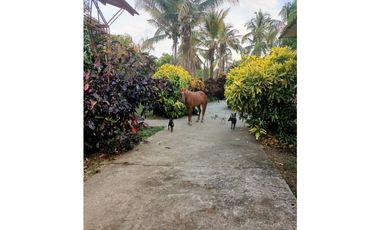 Vendo Espectacular Finca Pintada Bolombolo