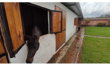 Campestre independiente, 1 nivel, 727 M2 lote, 160 M2 const