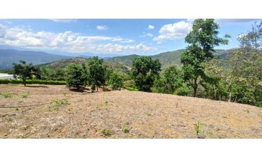 Lote Con Hermosa Vista En El Mejor Condominio De La Mesa