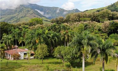 VENTA DE FINCA SUROESTE