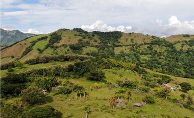 VENTA DE FINCA SUROESTE