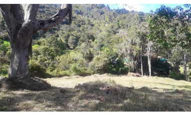 Venta de Lote Vereda La Veta Copacabana