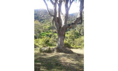 Venta de Lote Vereda La Veta Copacabana