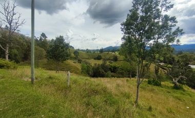 Lote en venta en El Retiro Vereda Pantanillo