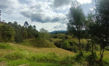 Lote en venta en El Retiro Vereda Pantanillo