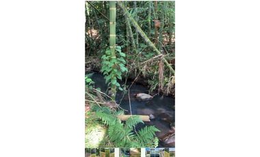 Se vende Lote vía Cerritos entrada 8 Cafelia - Pereira