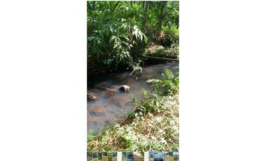 Se vende Lote vía Cerritos entrada 8 Cafelia - Pereira