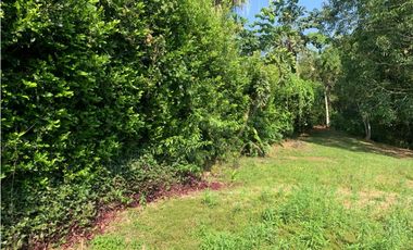 Se vende Lote vía Cerritos entrada 8 Cafelia - Pereira