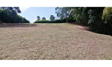 Se vende Lote vía Cerritos entrada 8 Cafelia - Pereira