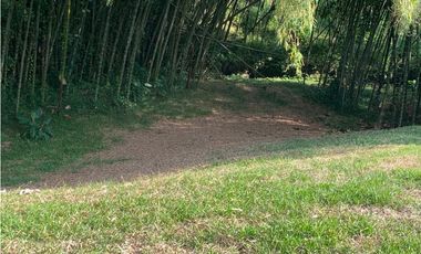 Se vende Lote vía Cerritos entrada 8 Cafelia - Pereira