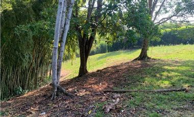 Se vende Lote vía Cerritos entrada 8 Cafelia - Pereira