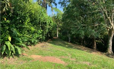 Se vende Lote vía Cerritos entrada 8 Cafelia - Pereira