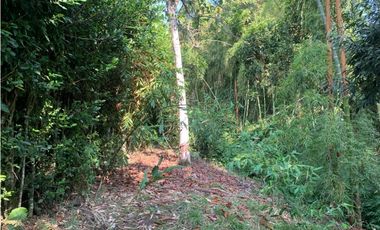 Se vende Lote vía Cerritos entrada 8 Cafelia - Pereira