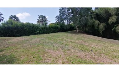 Se vende Lote vía Cerritos entrada 8 Cafelia - Pereira