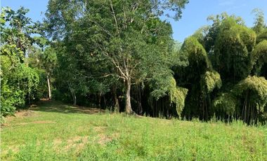 Se vende Lote vía Cerritos entrada 8 Cafelia - Pereira