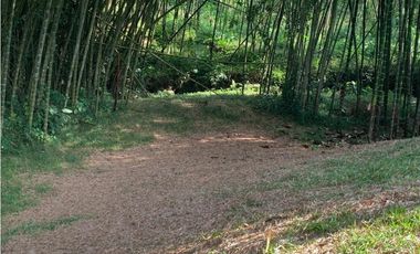 Se vende Lote vía Cerritos entrada 8 Cafelia - Pereira