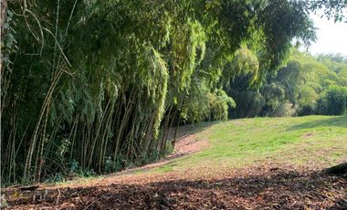 Se vende Lote vía Cerritos entrada 8 Cafelia - Pereira