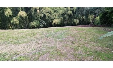 Se vende Lote vía Cerritos entrada 8 Cafelia - Pereira
