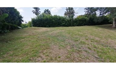 Se vende Lote vía Cerritos entrada 8 Cafelia - Pereira
