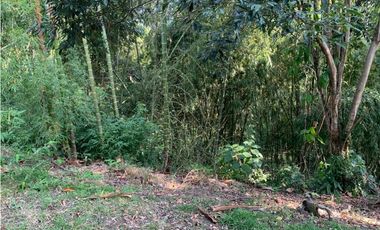 Se vende Lote vía Cerritos entrada 8 Cafelia - Pereira