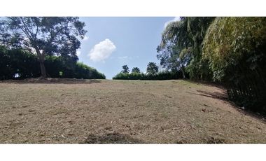 Se vende Lote vía Cerritos entrada 8 Cafelia - Pereira