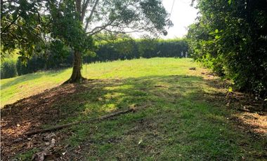 Se vende Lote vía Cerritos entrada 8 Cafelia - Pereira