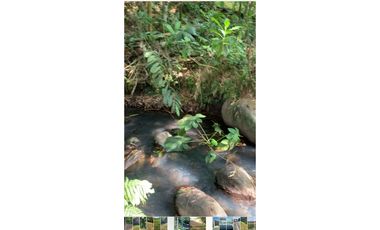 Se vende Lote vía Cerritos entrada 8 Cafelia - Pereira