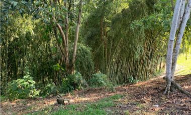 Se vende Lote vía Cerritos entrada 8 Cafelia - Pereira