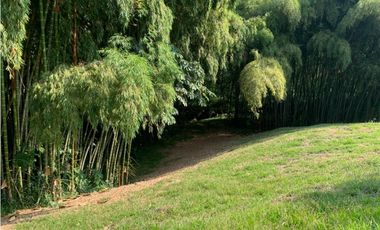 Se vende Lote vía Cerritos entrada 8 Cafelia - Pereira