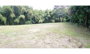Se vende Lote vía Cerritos entrada 8 Cafelia - Pereira