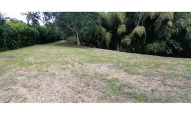 Se vende Lote vía Cerritos entrada 8 Cafelia - Pereira