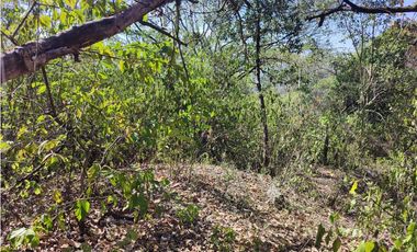 VENDE O PERMUTA FINCA PARA DESARROLLO AGROPECUARIO EN VILLETA