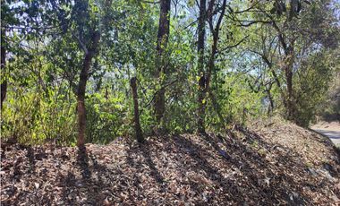 VENDE O PERMUTA FINCA PARA DESARROLLO AGROPECUARIO EN VILLETA