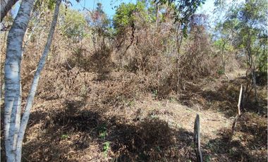 VENDE O PERMUTA FINCA PARA DESARROLLO AGROPECUARIO EN VILLETA