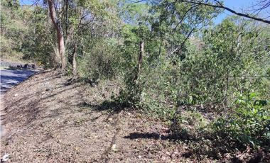 VENDE O PERMUTA FINCA PARA DESARROLLO AGROPECUARIO EN VILLETA