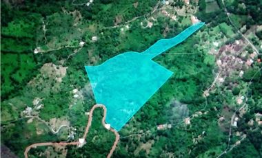 VENDE O PERMUTA FINCA PARA DESARROLLO AGROPECUARIO EN VILLETA