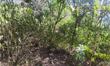 VENDE O PERMUTA FINCA PARA DESARROLLO AGROPECUARIO EN VILLETA