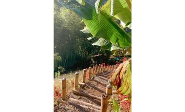 En Venta Finca en el Peñol- Guatape