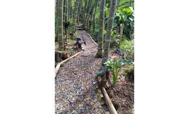 En Venta Finca en el Peñol- Guatape