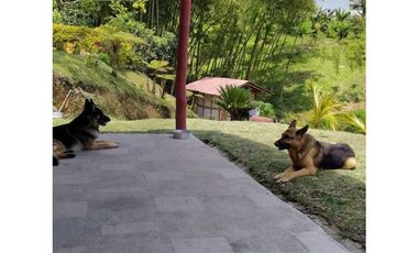 En Venta Finca en el Peñol- Guatape