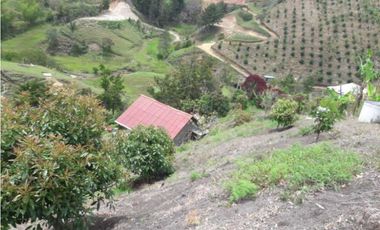 En Venta Finca en el Peñol- Guatape