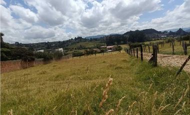 Venta Lotes Cogüa uso urbano desde 200 mtrs² hasta 600 mtrs²