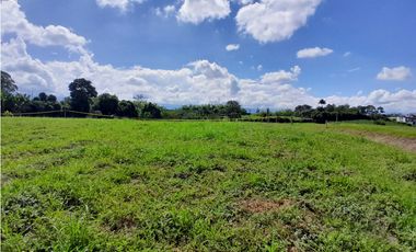 Venta Lotes Sector La  Tebaida a 5 Minutos del Club Campestre
