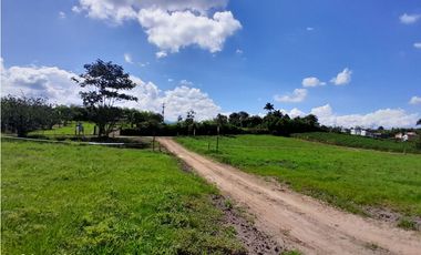 Venta Lotes Sector La  Tebaida a 5 Minutos del Club Campestre