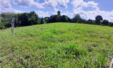 Venta Lotes Sector La  Tebaida a 5 Minutos del Club Campestre